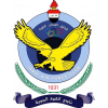 Al-Quwa Al-Jawiya — логотип